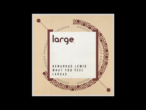 Demarkus Lewis | What You Feel (Original Mix)