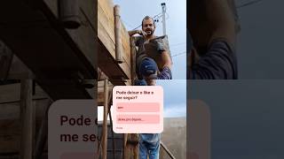 Academia de sexta!! #construindoumsonho #obra #arquitetura #pedreiro #construction #construçãocivil