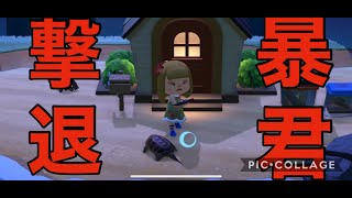 カミツキガメをスコップで撃退したったwww【あつまれどうぶつの森】＃3