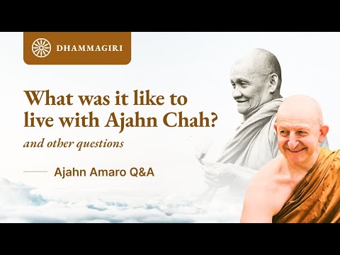 Ajahn Amaro Q&A: What was it like to live with Ajahn Chah? Is it difficult to be a buddhist monk?