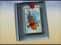 Growing Up With Winnie The Pooh Opening