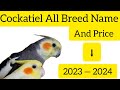 Cockatiel Bird All Breed Name And Price 2023— 2024❤️