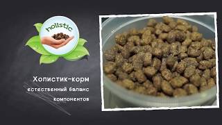 Belcando Puppy Gravy 12,5 кг (4002633557025) - відео 1