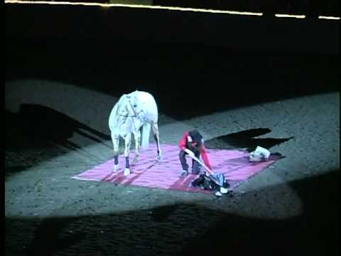 Donnert Don't Drink and Ride Comedy Horse Act