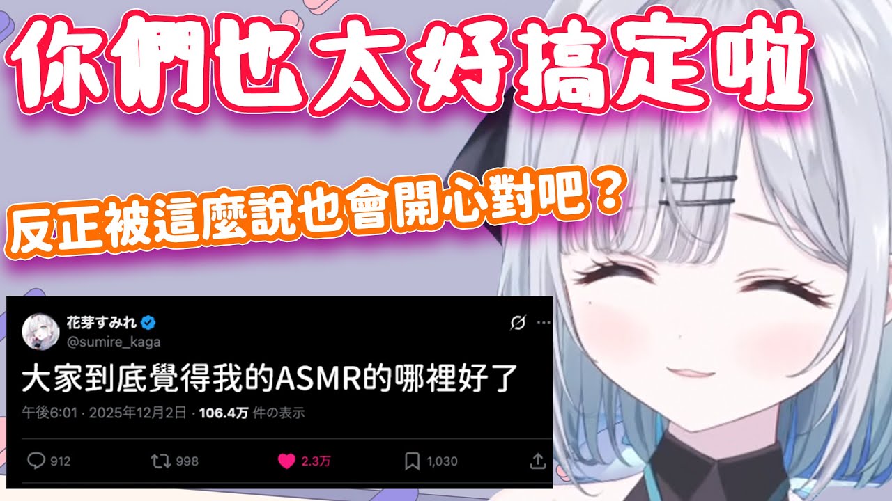 表示初見就丟SC的觀眾很好搞定，卻又辯解明明是你們喜歡被這麼說的Sumi要觀眾負責w【花芽すみれ/VSPO翻譯/切り抜き】