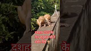 Download lagu #youtubeshorts #ytshorts bokeh full frame asli bokeh full frame asli 1 jam mp3 Download lagu #youtubeshorts #ytshorts bokeh full frame asli bokeh full frame asli 1 jam mp3