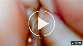 Download lagu Portrait Video Baimint Nanny Canon Natasha Lyonne mp3 Download lagu Portrait Video Baimint Nanny Canon Natasha Lyonne mp3