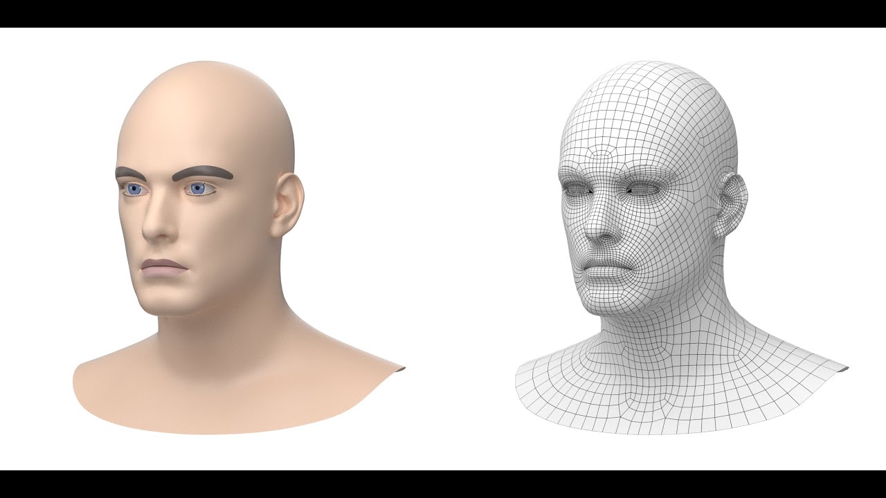 Natural Male Head 01 Base Mesh 3D Model