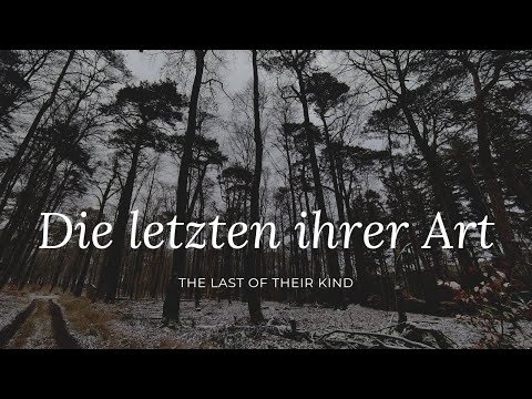 Pfälzerwald | Museumswald | Elmstein