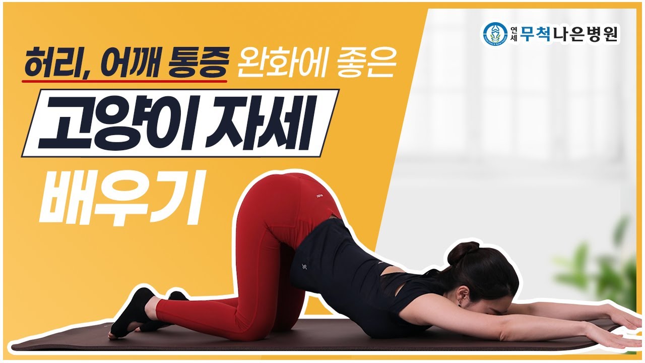 허리·어깨통증이 있다면? ‘고양이자세’를 따라해 보세요!