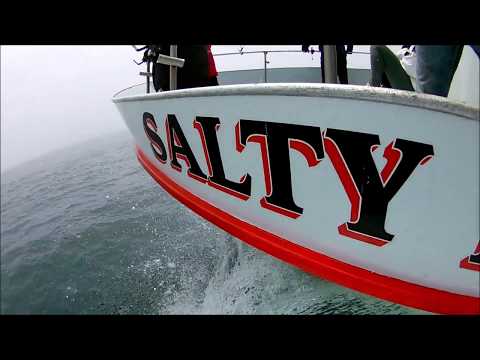 Farallons Tour July 2018