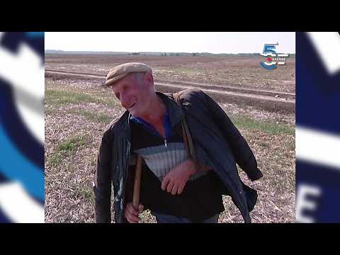 Čobanska istina - da je lako čoban bi bio svako, 25h dnevno 366 dana u godini