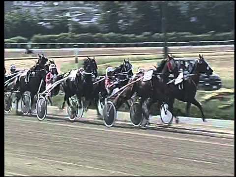 Trotto 14/06/2015 - 5° corsa