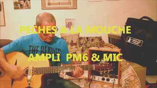 PECHE A LA MOUCHE = DJANGO ELECTRIC SOUND Ampli & Mic