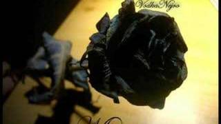 Eres mi rosa negra - Versión Porta &amp; Bazzel