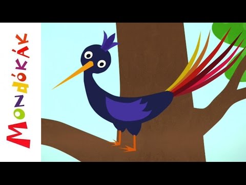 Nem minden tarka (Gyerekdalok és mondókák, rajzfilm gyerekeknek)