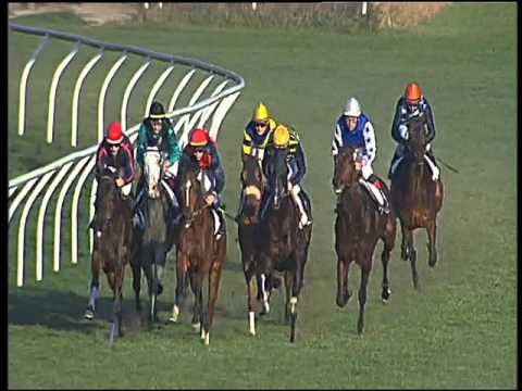 Galoppo 06/02/2016 - 4° corsa