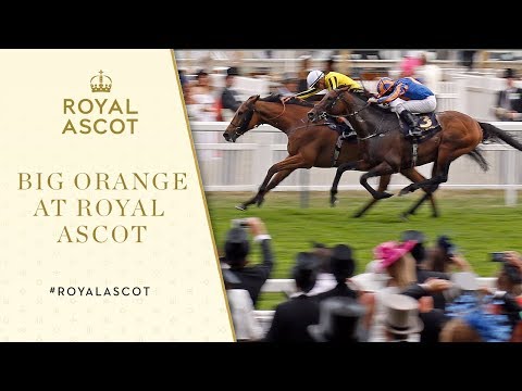 "An Absolute Thriller Of A Gold Cup" | Big Orange Holds On | Royal Ascot 2017