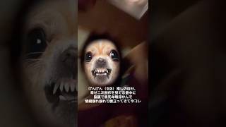 玄弥ちゃん大丈夫だよ、