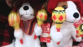Some silly maraca dog at Walgreens