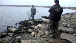 рыбалка в старобешево в контакте рыбалка в старобешево в контакте