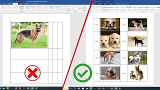 How to insert picture into table in word