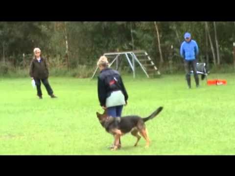 Sassa & Wisca Elitklass spår 100911