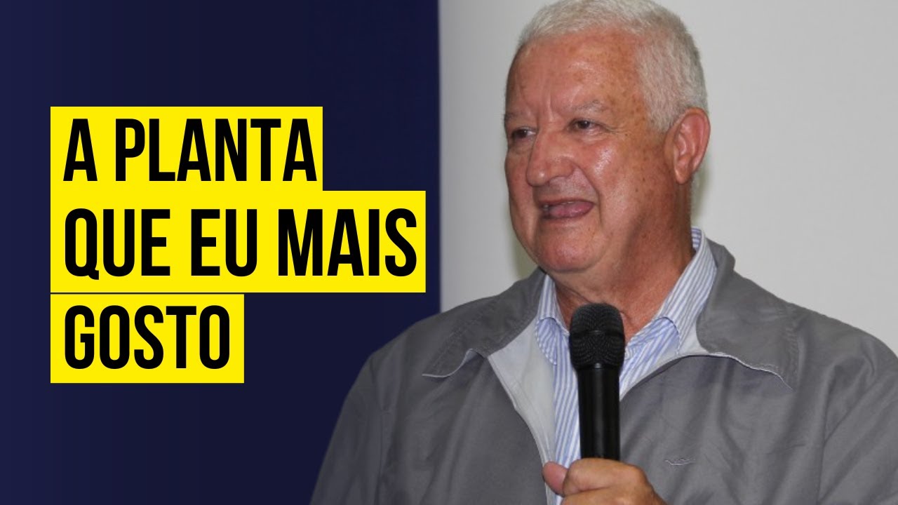 CASEARIA SYLVESTRIS - GUAÇATONGA - JOSÉ FERRER