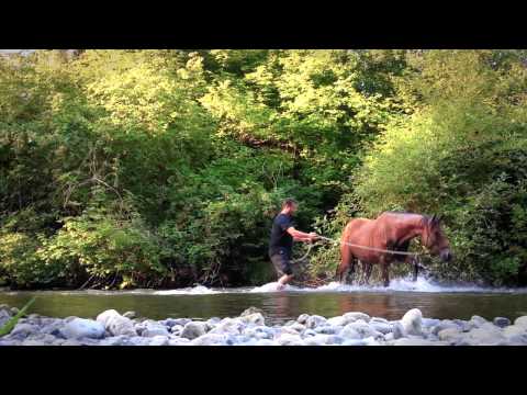 Working with a Horse for Water and Creek Training