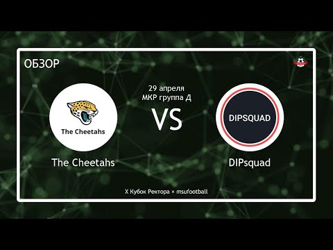 VII Малый Кубок Ректора | 3 тур | The Cheetahs - DIPsquad