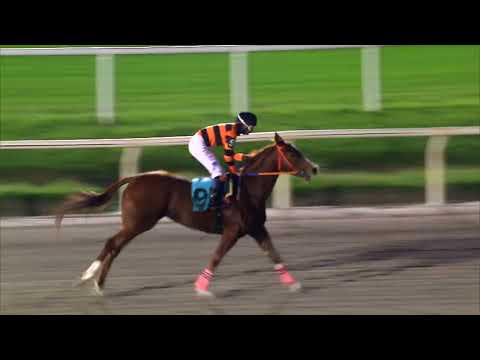 230528 c10 - SRA. SUERTE - HIPODROMO DE MAROÑAS