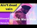 AIN T DEAD IN VAIN SLOWED REVERB SIDHU MOOSEWALA 2022 NEW SONG