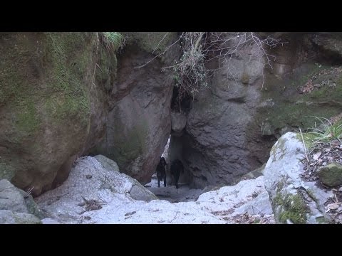 Kanbei Kuroda, Shigefusa Utsunomiya, Chikujyo-machi