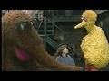 Sesame Street Big Bird Snuffy Are Windbusters