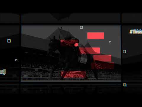 Doc's Top 5 Travers Stakes from 1978-Present