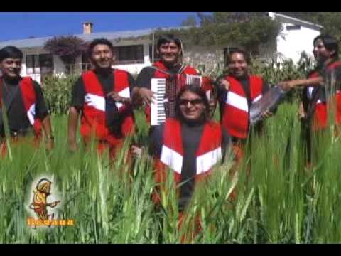 GRUPO TERNURA DE SUCRE - ZAPATEO  TERNURA