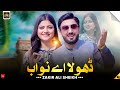 Dhola Ay Nawab Zakir Ali Sheikh New Saraiki Punjabi Song 2025 Saraiki