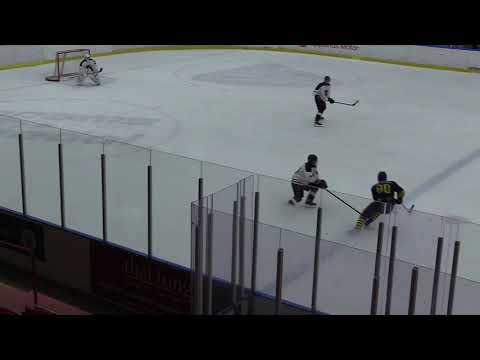 Wings HC VS: Lidingö Vikings HC J18 Regional 16/9-20 Träningsmatch