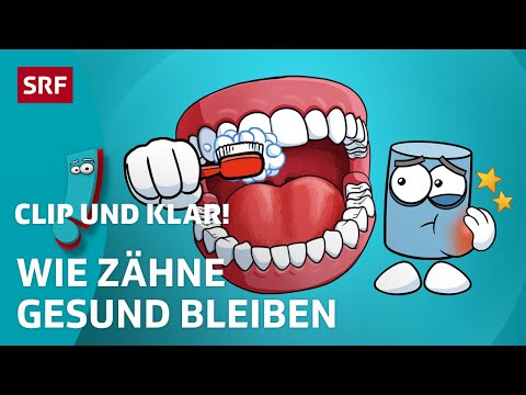 Warum ist Zähne putzen so wichtig? | SRF Kids – Clip und klar! | Für Kinder erklärt