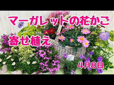 チーク材のガーデンファニチャー：天気の良い日に楽しむためのメンテナンス方法は？  庭園