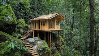 Turning the Deep Forest into a Sturdy Wooden House: A Journey Defying All Challenges!