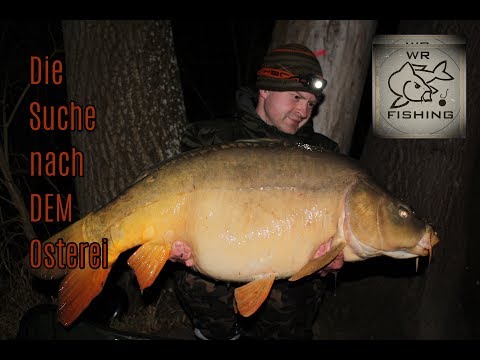 Karpfenangeln - Die Suche nach DEM Osterei | wr fishing