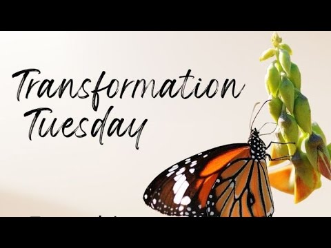 Transformation Tuesday Motivation for Busy People 🕔✨