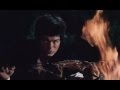 Bruce Lee Eating A Cat