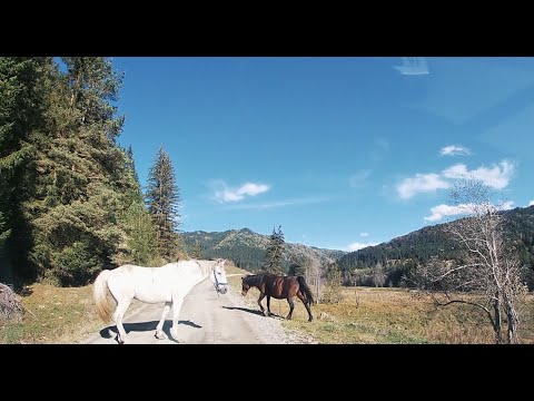 The Valley of Uz (episode 19)