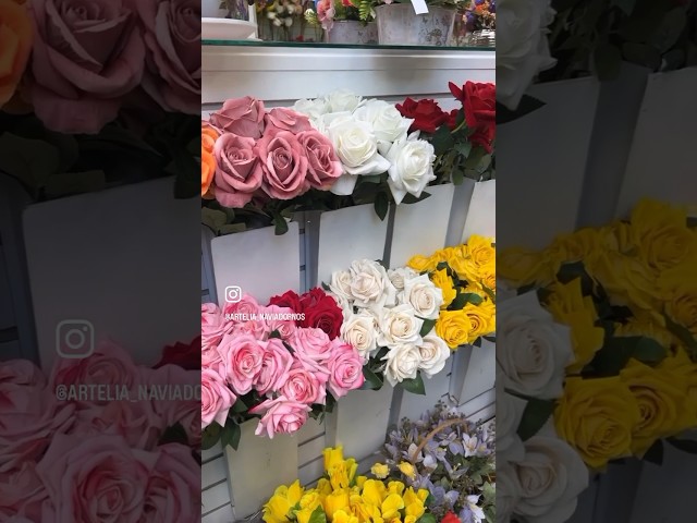 Vídeo relacionado con Genérico Flores 3 Unidades de 50 cm Flores Artificiales de Cala, para Hogar, Bodas, Fiestas, Oficinas, Balcones y Jardines (3, Eucalito Azul)