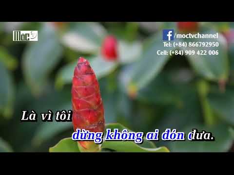 [KARAOKE HẠ TONE] KHI NGƯỜI LỚN CÔ ĐƠN duycuongdz