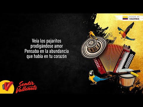 No Pude Olvidarte, Binomio De Oro De América, Video Letra - Sentir Vallenato