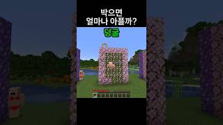 유튜브 썸네일