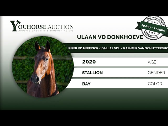 Ulaan vd Donkhoeve